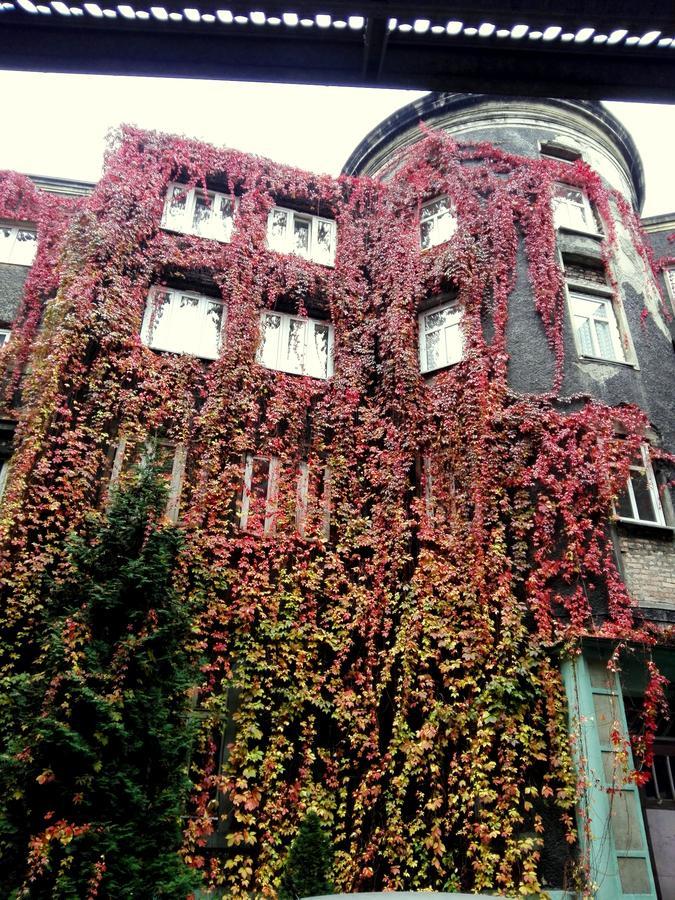 Bristol Economy Panzió Bytom Kültér fotó